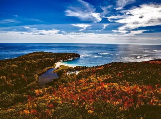 Autumn Landscape of the forest and the seashore at Bar Harbor, Maine image  - Free stock photo - Public Domain photo - CC0 Images