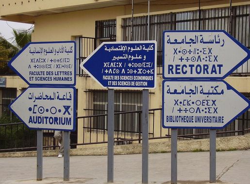 File:Tizi Ouzou Tasdawit.jpg - Wikimedia Commons