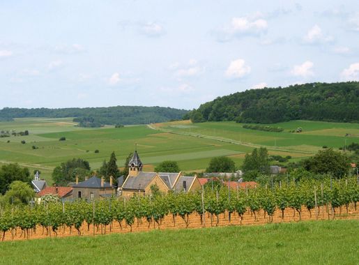 File:Torgny 050615 (6).JPG - Wikimedia Commons