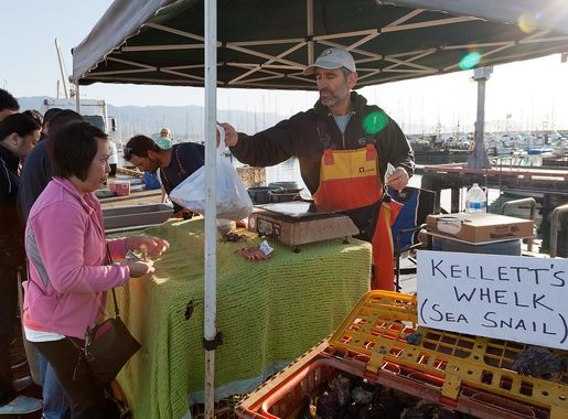 File:Seafood market in Santa Barbara Harbor.jpg - Wikimedia Commons