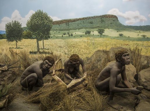 File:Prehistory at Nairobi National Museum.jpg - Wikimedia Commons