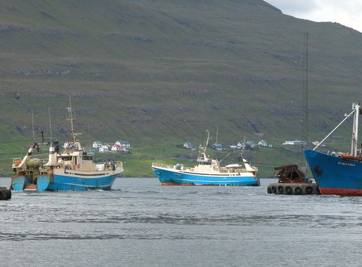 File:Vessels in the Harbour of Runavík, Faroe Islands.JPG - Wikimedia  Commons