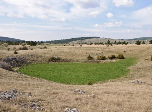 File:Causse de Sauveterre doline.jpg - Wikipedia