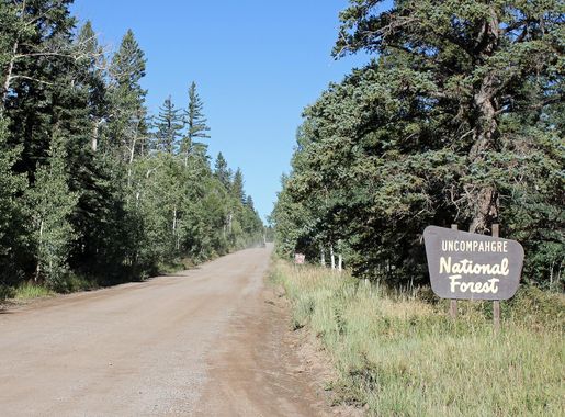 File:Uncompahgre National Forest.JPG - Wikimedia Commons