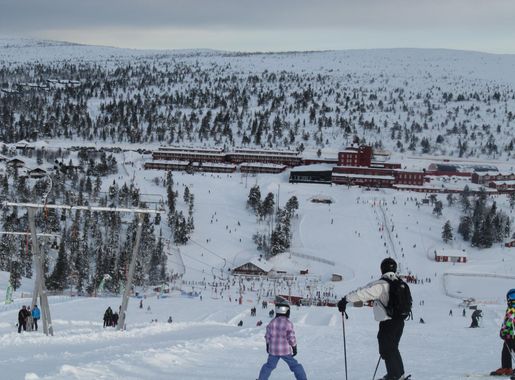 Fil:Sälen.JPG – Wikipedia