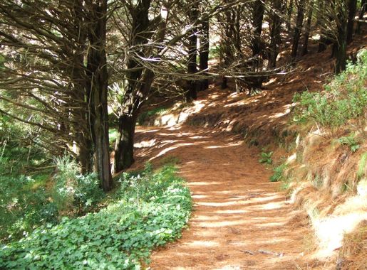 File:Mount Victoria Park (559073667).jpg - Wikimedia Commons