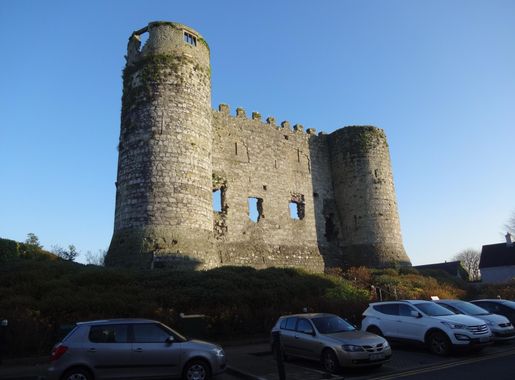 File:Carlow Castle, Carlow, Ireland.JPG - Wikipedia