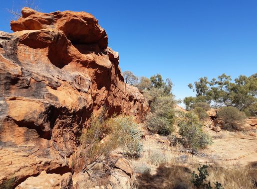 File:Ooramboo Trail, Mount Augustus National Park, July 2020 08.jpg -  Wikimedia Commons