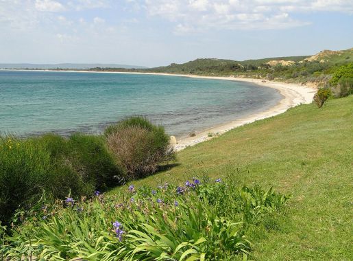 Dosya:View of Anzac Cove - Gallipoli Peninsula - Dardanelles - Turkey - 01  (5734713946).jpg - Vikipedi