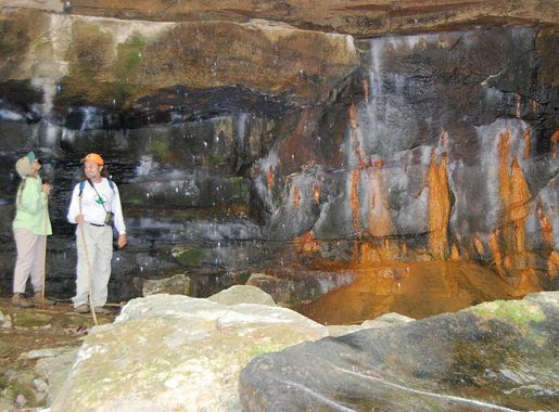 File:Iron Bacteria in Bankhead National Forest.JPG - Wikimedia Commons
