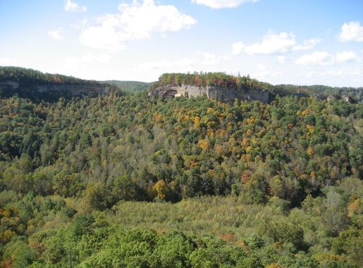 File:Red river gorge, ky (1698867314).jpg - Wikimedia Commons