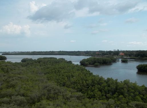 File:Weeden Island06.jpg - Wikimedia Commons