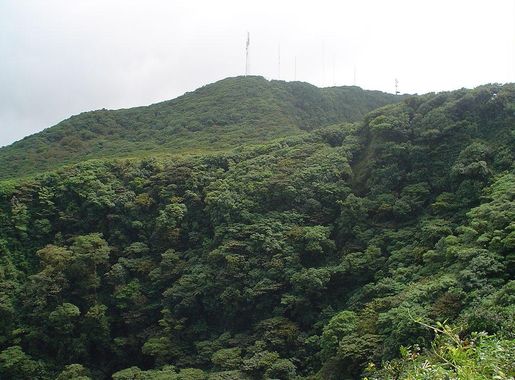 Файл:Mombacho crater.JPG — Википедия