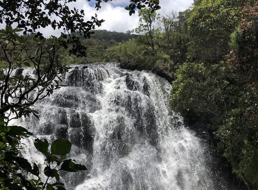 File:Bakers falls horton plains.jpg - Wikimedia Commons