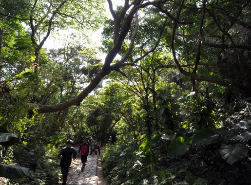 Less Than A Beer: Sefa-utaki sacred site > Kadena Air Base > Display