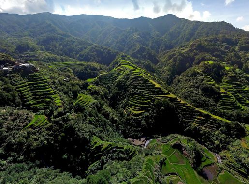 File:Aerial view of Dyanara Viewpoint at the Banaue Rice Terraces.jpg -  Wikimedia Commons