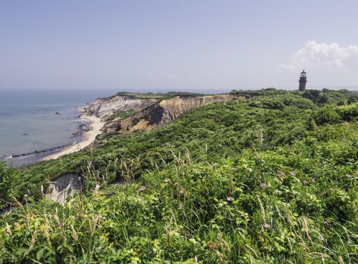 File:Marthasvineyard-Aquinnah-cliffs-summer.jpeg - Wikipedia