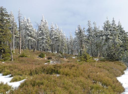 File:Šerák-Keprník, Jeseníky (21).JPG - Wikimedia Commons