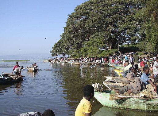 File:Awasa fish market.jpg - Wikipedia