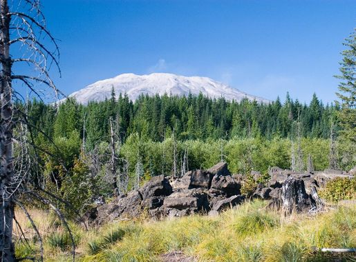 File:Mount St. Helens from Ape Cave (4100917715).jpg - Wikimedia Commons