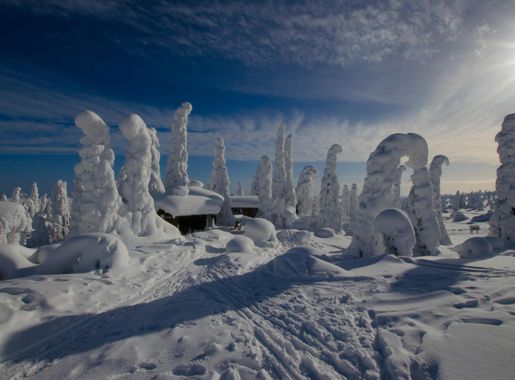 File:Snowy winter landscape - Riisitunturi National Park - Posio, Finland -  14 March 2016.jpg - Wikimedia Commons
