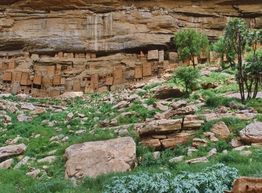 File:Tellem Dwellings above Dogon huts.jpg - Wikimedia Commons