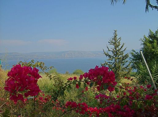 File:Mount of Beatitudes View Sea of Galilee Golan 200704.JPG - Wikimedia  Commons