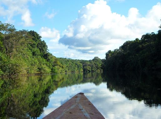 File:Pacaya Samiria Marañon River (66217327).jpeg - Wikimedia Commons