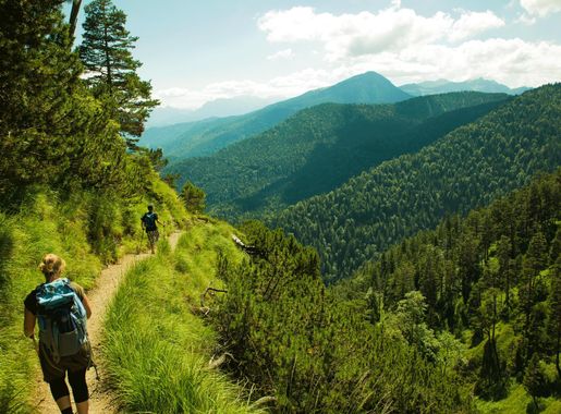Gambar : pemandangan, pohon, hutan, batu, gurun, berjalan, langit, Hiking,  jejak, padang rumput, petualangan, melihat, lembah, Pegunungan, Panorama,  perjalanan, hijau, liburan, alpine, biru, pendakian, punggung bukit,  olahraga, keren, pegunungan Alpen ...