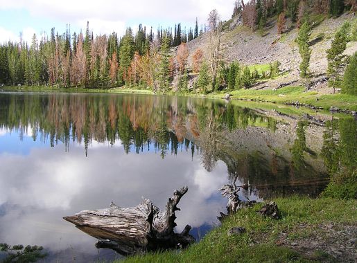 White Goat Lake landscape in Idaho image - Free stock photo - Public Domain  photo - CC0 Images