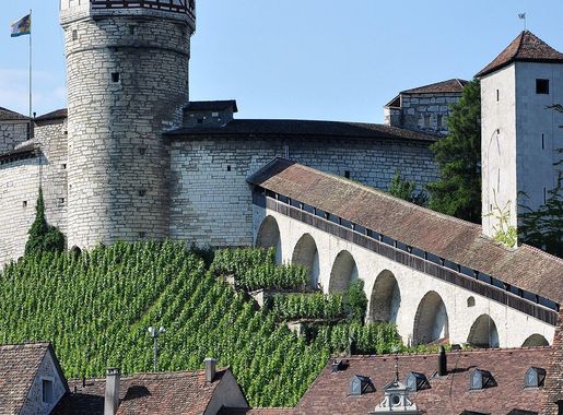 File:Schaffhausen - Munot - Feuerthalen 2010-06-24 17-27-18.JPG - Wikimedia  Commons