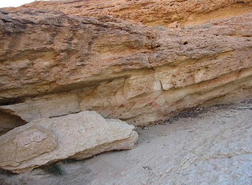 File:Sidi Bouhlel 2.jpg - Wikimedia Commons