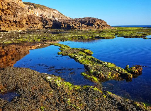 File:Rock pools and reflections at Sorrento, Mornington Peninsula National  Park.jpg - Wikimedia Commons