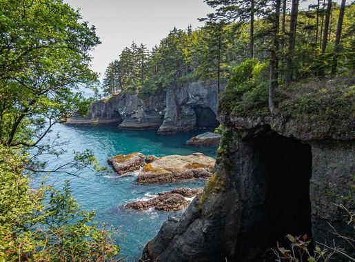 File:Olympic National Park, 2023 - 087.jpg - Wikimedia Commons