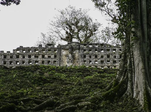 File:Yaxchilán-7422.JPG - Wikimedia Commons