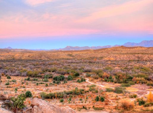 File:Gfp-texsas-big-bend-national-park-desert-landscape-at-dusk.jpg -  Wikimedia Commons