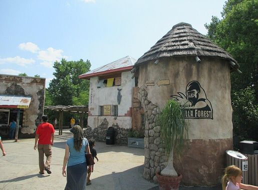 File:Sedgwick County Zoo Gorilla Village 2013.JPG - Wikipedia