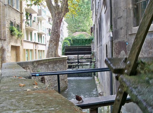 File:Roue rue teinturiers.jpg - Wikimedia Commons