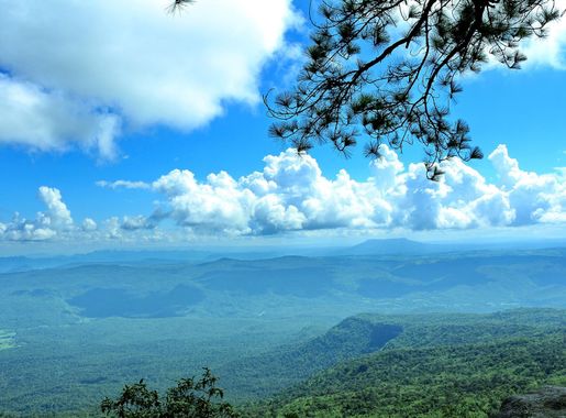 File:9th place - Pha Na Noi Cliff on Phu Kradueng National Park, Thailand.JPG  - Wikimedia Commons