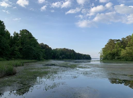 File:Lake Guntersville, Alabama.jpg - Wikimedia Commons