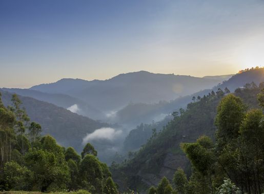 File:Bwindi Impenetrable National Park 01.jpg - Wikimedia Commons