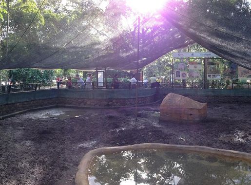 File:Giant armadillo enclosure.JPG - Wikimedia Commons
