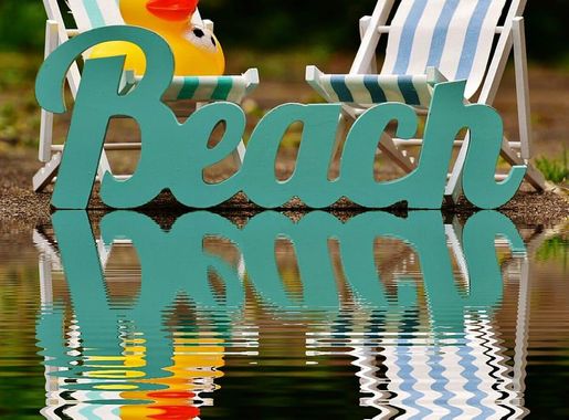 Page 6 | birds animals sunlight water lake 1080P, 2K, 4K, 5K HD wallpapers  free download | Wallpaper Flare