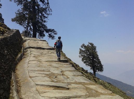 File:Way to Tungnath Temple ,Chopta.jpg - Wikimedia Commons