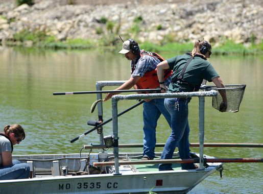 What kind of fish are in the base lakes? > Whiteman Air Force Base > News