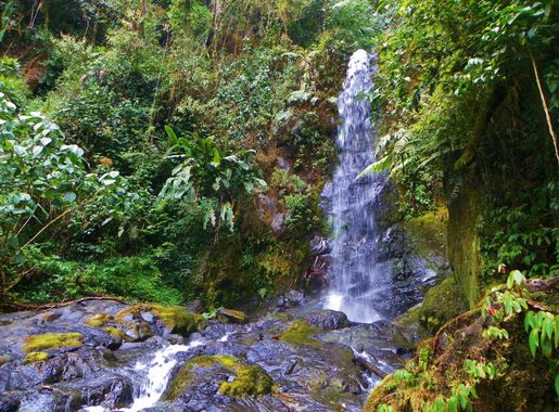Free Images : landscape, nature, outdoor, waterfall, wilderness, view,  land, wild, stream, jungle, scenic, autumn, scenery, botany, body of water,  vegetation, rainforest, ravine, wasserfall, woodland, habitat, water  feature, watercourse, costa rica, old