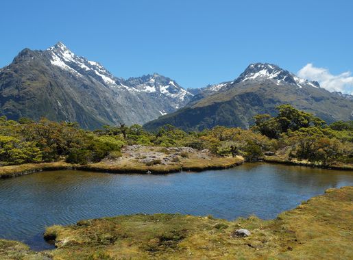 File:Tarn at Key Summit, a side track on the Routeburn Track.jpg -  Wikimedia Commons