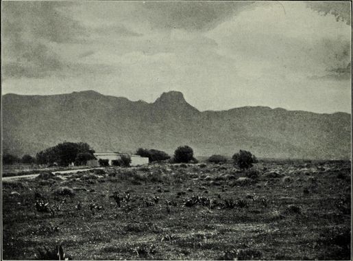File:A winter pilgrimage - being an account of travels through Palestine,  Italy, and the island of Cyprus, accomplished in the year 1900 (1901)  (14778005371).jpg - Wikimedia Commons
