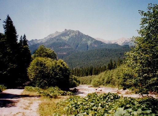 File:Slovakia Lysa Polana 11.JPG - Wikimedia Commons