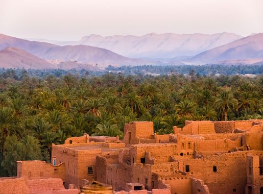 File:Oasis in the Draa Valley.jpg - Wikimedia Commons